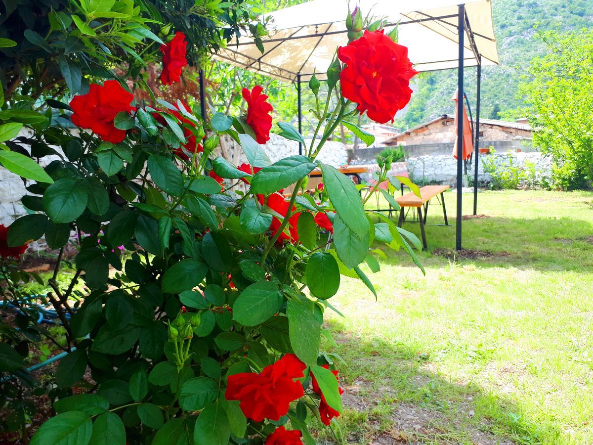 Guesthouse Sanja Mostar Zewnętrze zdjęcie